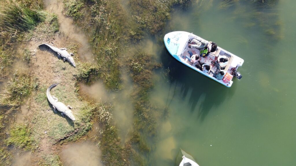 DJI_0432-1